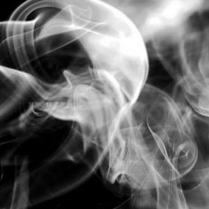 Meet your Posher, Travis'